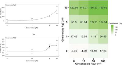 Combination of Ginsenosides Rb2 and Rg3 Promotes Angiogenic Phenotype of Human Endothelial Cells via PI3K/Akt and MAPK/ERK Pathways